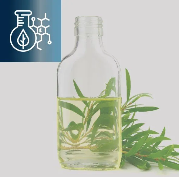 Plant Extraction