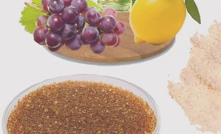 Adsorbent Resins